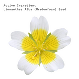 ishonest's meadowfoam seed oil - source, origin, purity and organic
