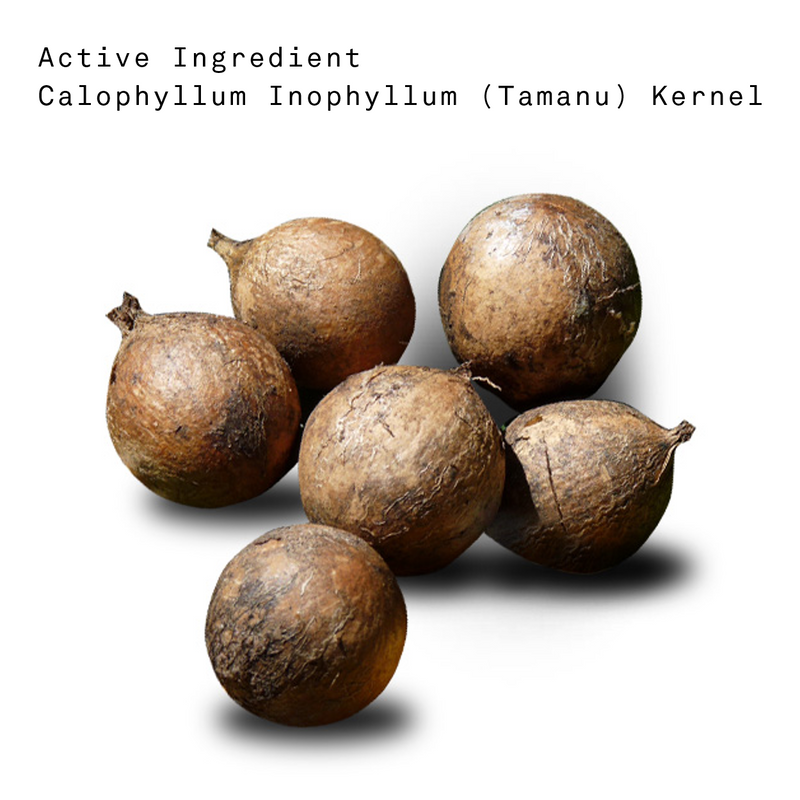 ishonest's tamanu oil - source, origin, purity and organic